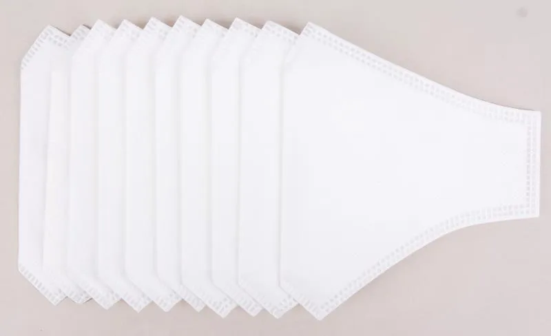 Disposable Filter Inserts for 3 Ply Reusable Masks, 10 PK