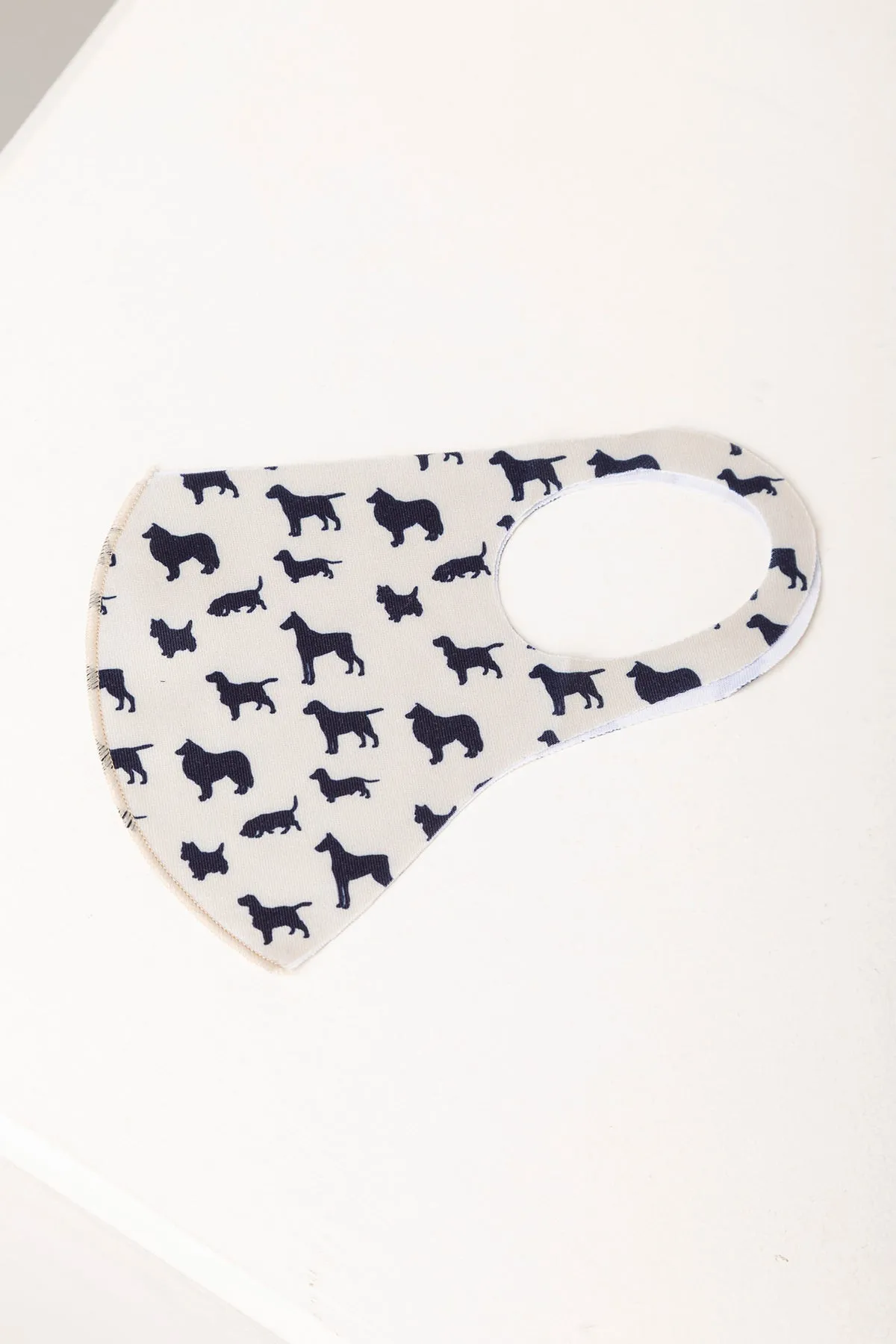Reusable Face Mask